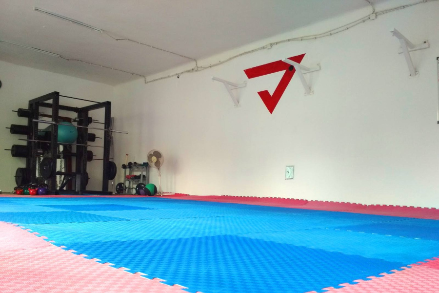 Grappling tehnike na parteru